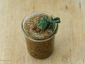 Veganes Oregano-Nuss-Pesto