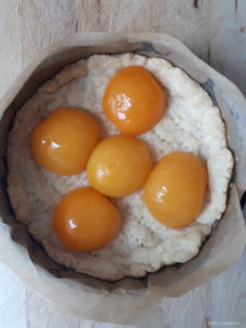 Aprikosen-Käsekuchen