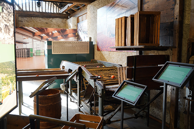 Historische Apfel-Sortiermaschine im Apfelmuseum / Foto: Herr Grün